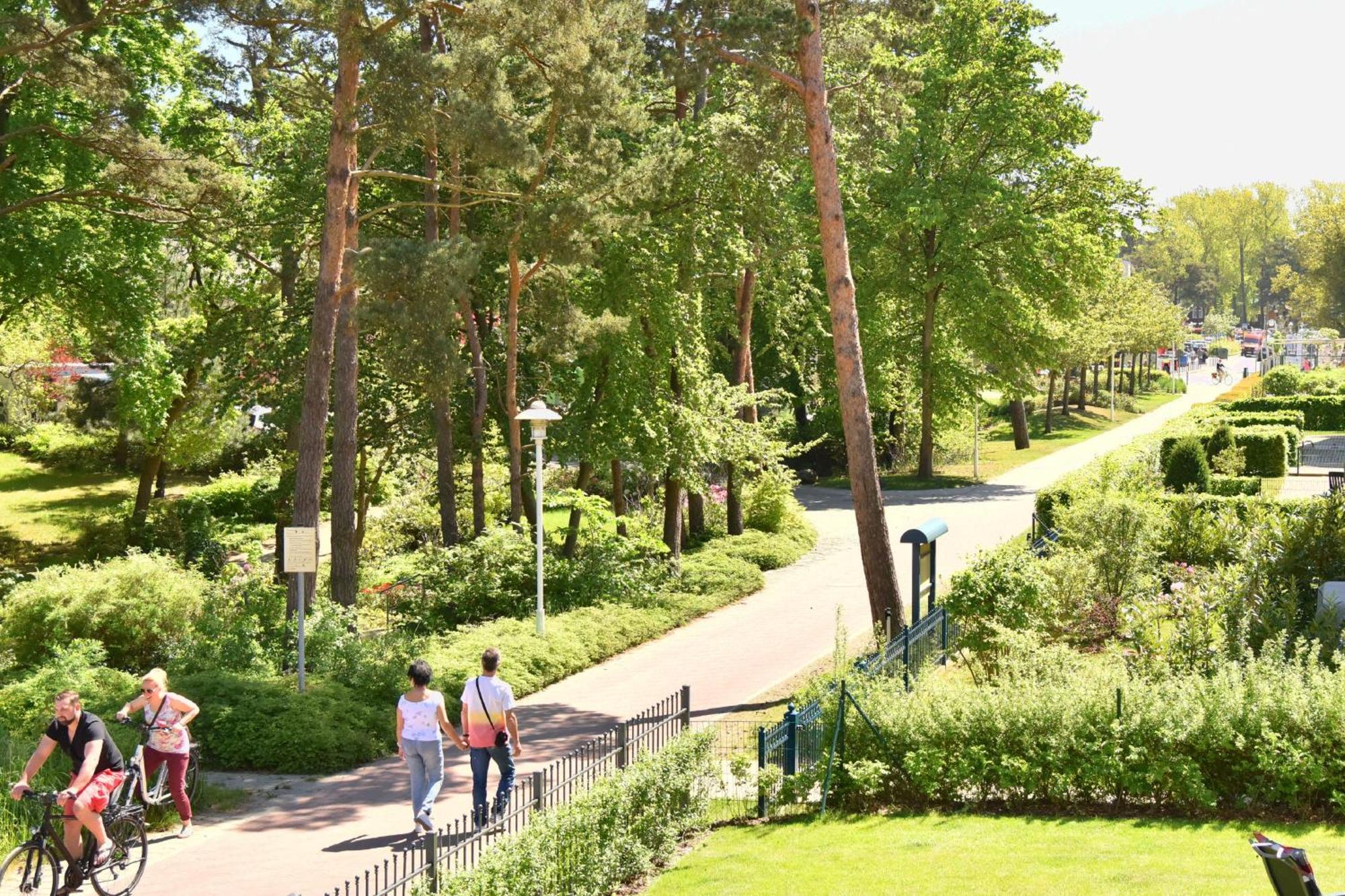 Ferienwohnung "Lachmoewe" In Der Villa Andrea Baabe Zewnętrze zdjęcie